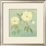 Buy Abundant Rose II at AllPosters.com