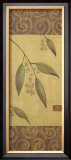 Eucalyptus Leaves I