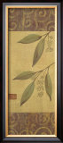 Eucalyptus Leaves II