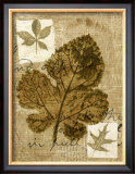 Buy Leaf Collage IV at AllPosters.com