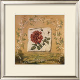 Buy Renaissance Rose II at AllPosters.com