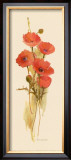 Buy Crimson Poppy at AllPosters.com