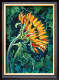 Buy Sunflower at AllPosters.com