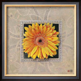 Buy Flower IV at AllPosters.com
