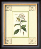 Cinnamon with Mosaic