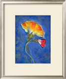 Buy Carnation at AllPosters.com