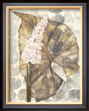 Buy Amazonia III at AllPosters.com