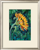 Buy Sunflower at AllPosters.com