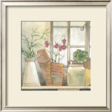 Buy Flower Pots at AllPosters.com
