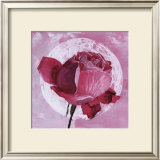 Rose Sur Pois Blanc