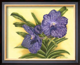 Buy Vibrant Orchid III at AllPosters.com