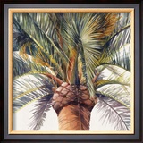 Buy Roma Palm at AllPosters.com