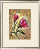 Buy Poppy at AllPosters.com