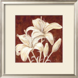 Buy Beautiful at AllPosters.com