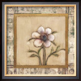 Buy Del Sol III at AllPosters.com