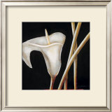 Buy Lily in Sepia I at AllPosters.com