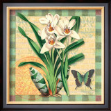 Buy Asian Cymbidium at AllPosters.com