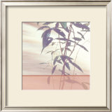 Buy Bamboo Square I at AllPosters.com