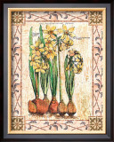 Buy Provincial Narcissus at AllPosters.com