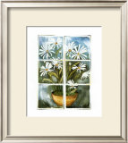 Daisies at the Window
