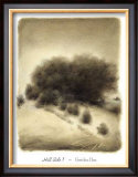 Buy Hill Side I at AllPosters.com