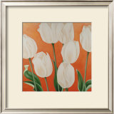 Buy White Tulips at AllPosters.com
