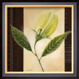Buy Dancing Leafs at AllPosters.com