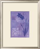 Buy Iris Series III, Lobelia at AllPosters.com