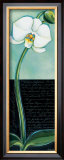 Buy White Orchid at AllPosters.com