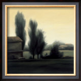 Buy Farm in Emilia Romagna at AllPosters.com