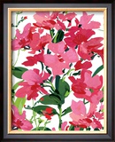 Buy Pink Border Beauty at AllPosters.com