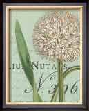 Botanique Bleu II