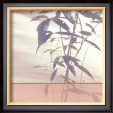 Buy Bamboo Square I at AllPosters.com