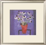 Buy Anemones, Blue, Pink at AllPosters.com