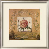 Buy Renaissance Rose I at AllPosters.com