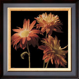 Buy Crimson Mums at AllPosters.com