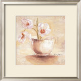 Buy Cup of White Tulips at AllPosters.com