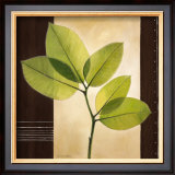 Buy Lucent Leafs at AllPosters.com