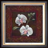 Buy Orchid Study II at AllPosters.com