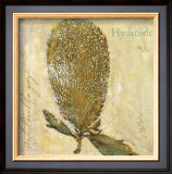 Buy Hydroide at AllPosters.com