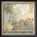 Buy Orchid at AllPosters.com