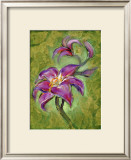 Buy Lily at AllPosters.com