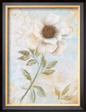 Buy Wedding Rose II at AllPosters.com