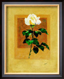 Buy Long Stem Rose at AllPosters.com