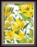 Buy Yellow Border Beauty at AllPosters.com