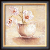Buy Cup of White Tulips at AllPosters.com