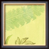 Buy Feather Leaf at AllPosters.com