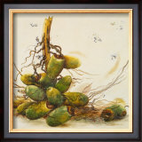 Buy Racimo de Cocos I at AllPosters.com