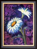 Buy Daisy at AllPosters.com
