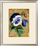 Buy Pansy at AllPosters.com